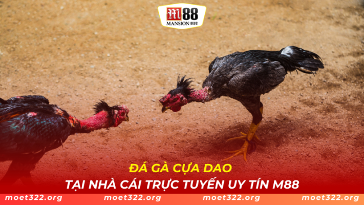 Đá Gà Cựa Dao Tại Nhà Cái Trực Tuyến Uy Tín M88
